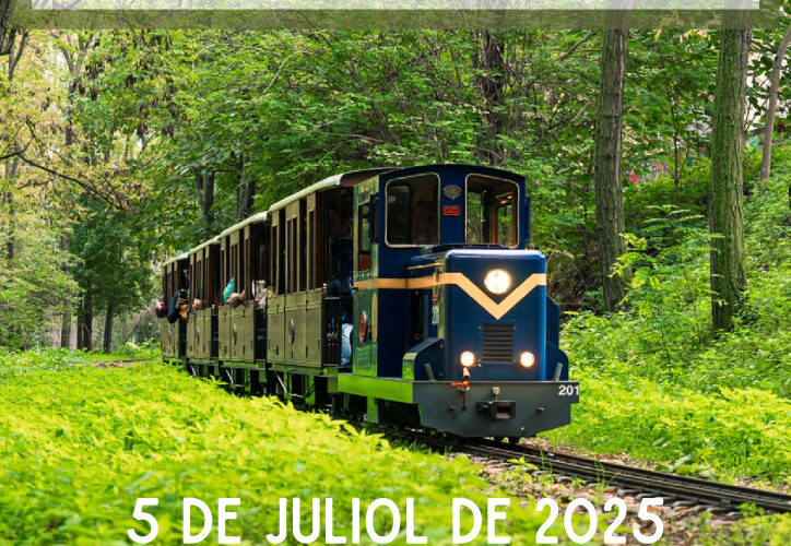 thumbnail of CARTELL XXV DIADA