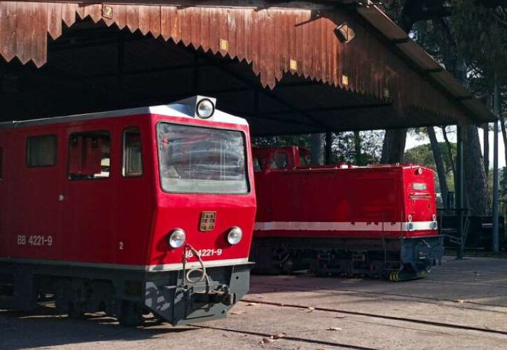 thumbnail of cartell trobada tren de palau