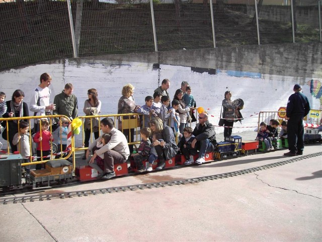 Funifira Gelida 2010
