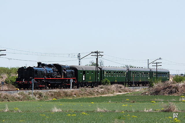 pzd23377