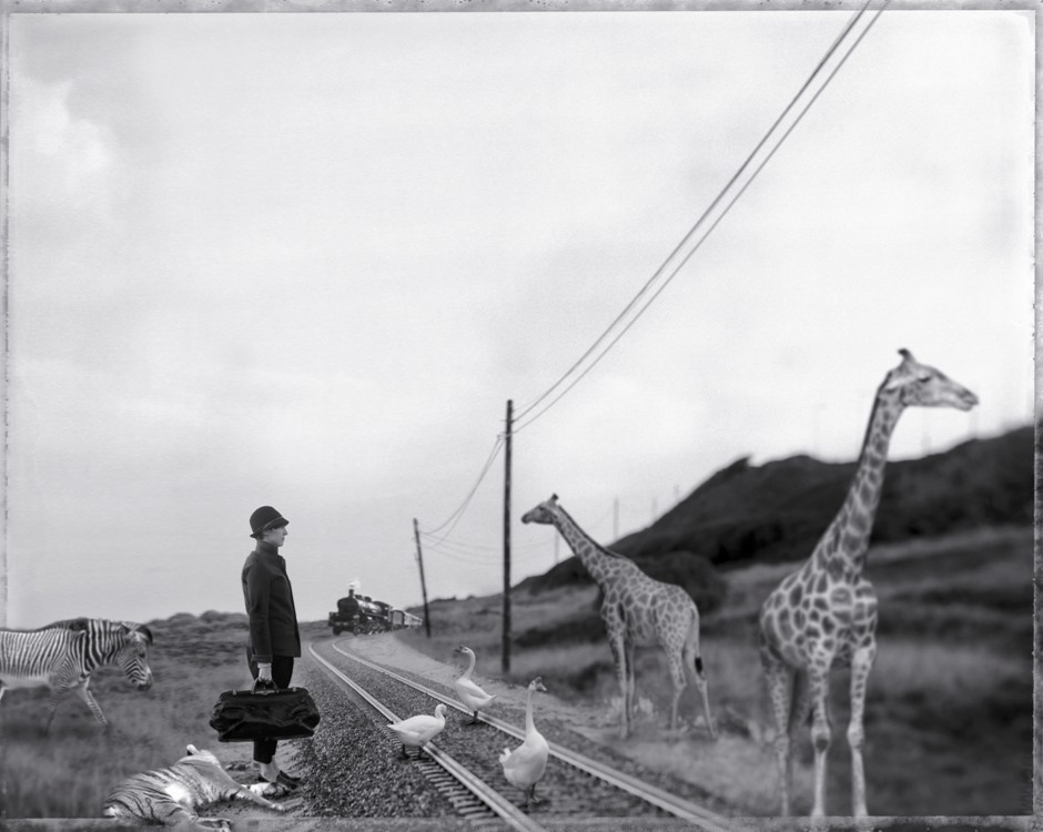 Caminos de Hierro 2012