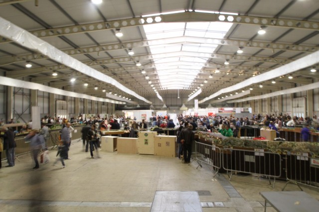 Expotren 2013