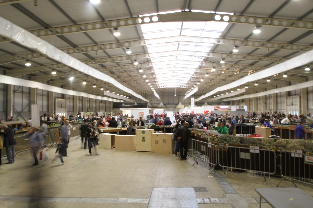 Expotren 2013