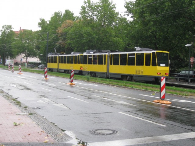 IMG_4334 (Medium)