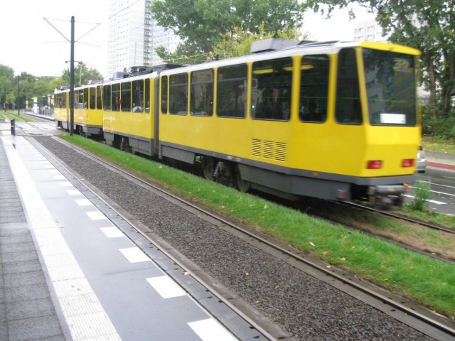 IMG_4337 (Medium)