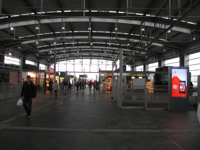 IMG_4345 (Medium)