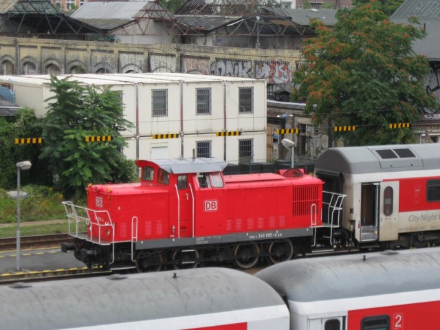 IMG_4440 (Medium)