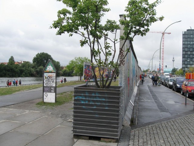 IMG_4452 (Medium)