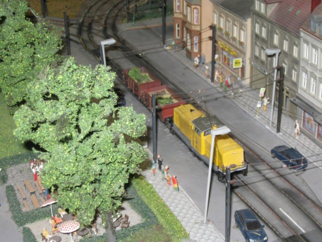 IMG_4474 (Medium)