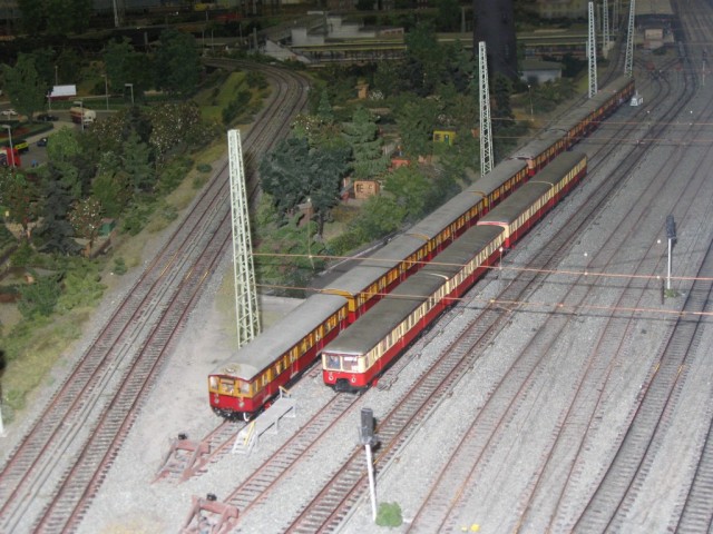 IMG_4544 (Medium)