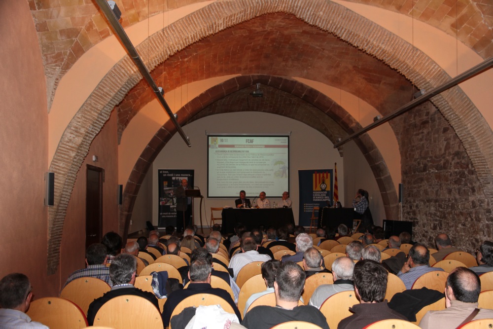 Assemblea FCAF 2014