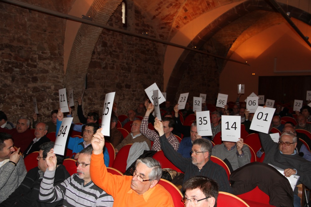 Assemblea FCAF 2014