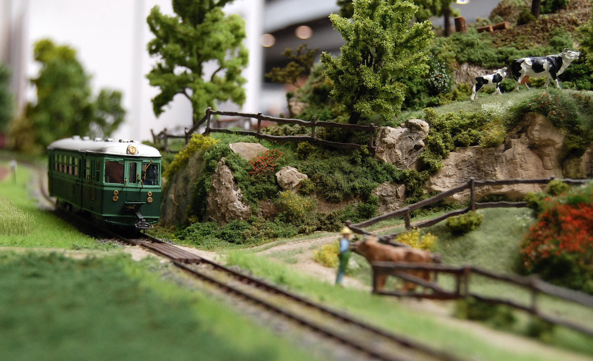 ExpoTren Lleida 2 - trenolot 20140314
