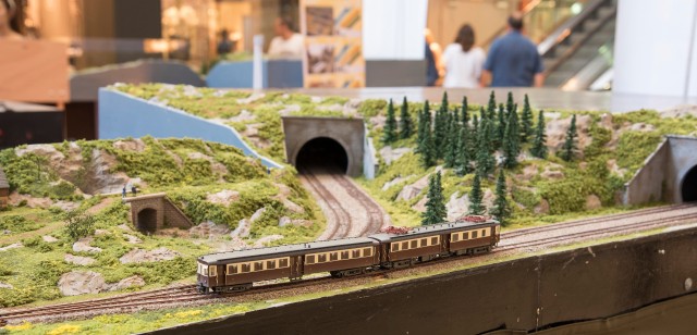 L'Illa Expo trens en miniatures i maquetes  30-06-15 fotos  Núria Cugat