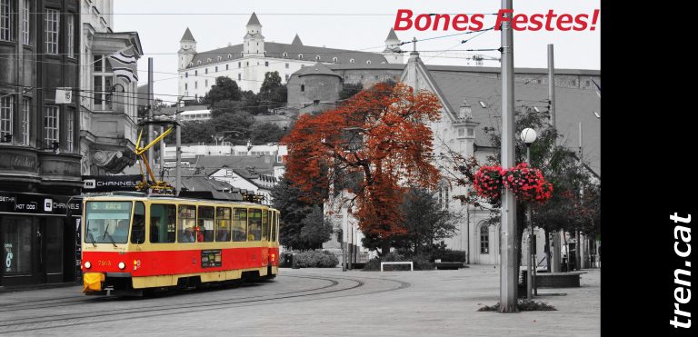 FelicitacioTrenCatDescoloridaLletresAmpliada2