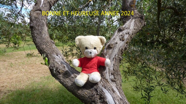 Arlette Broigniez