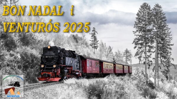 Felicitació Nadal 2024