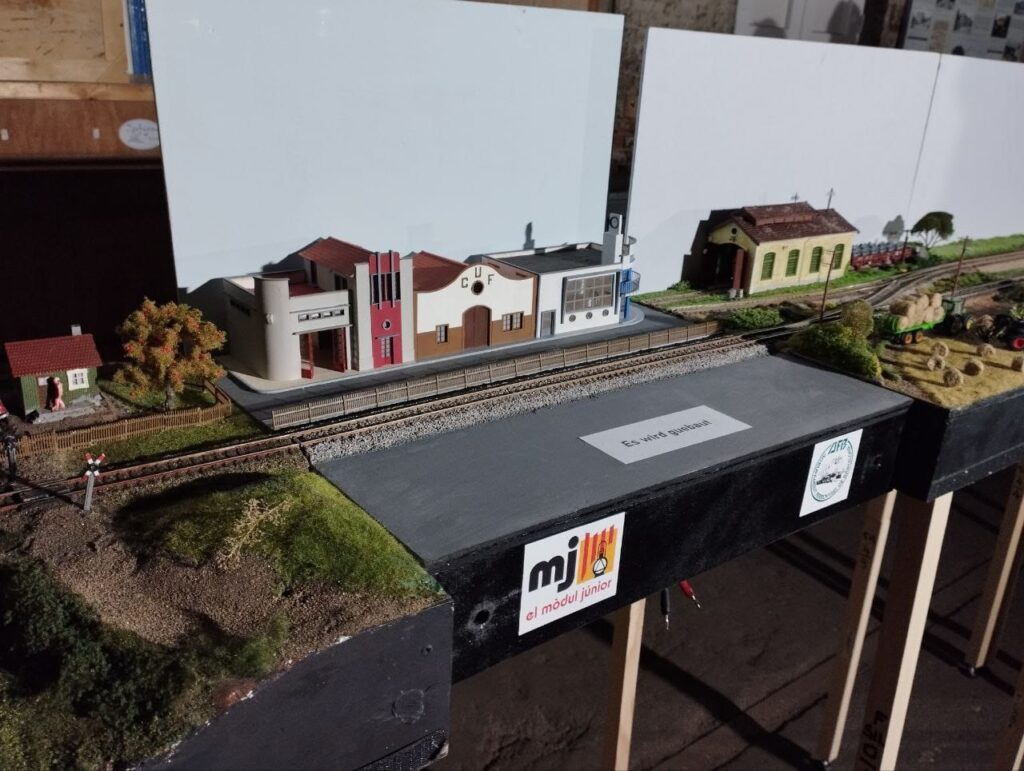 05-IMG-20250405-WA0006