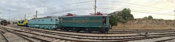IMG-20261011-WA0018