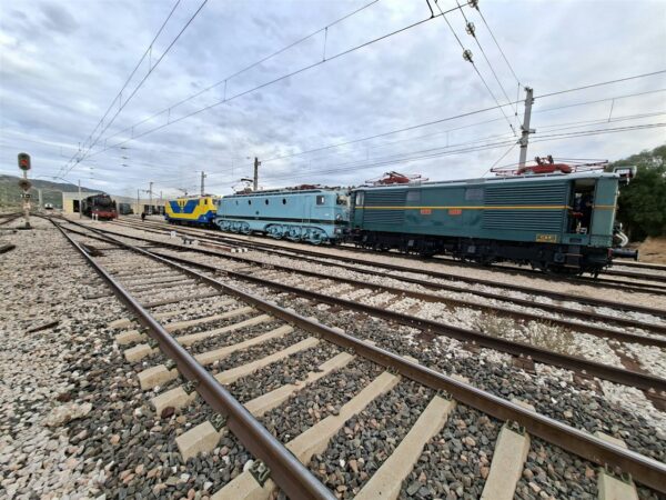 IMG-20261011-WA0019